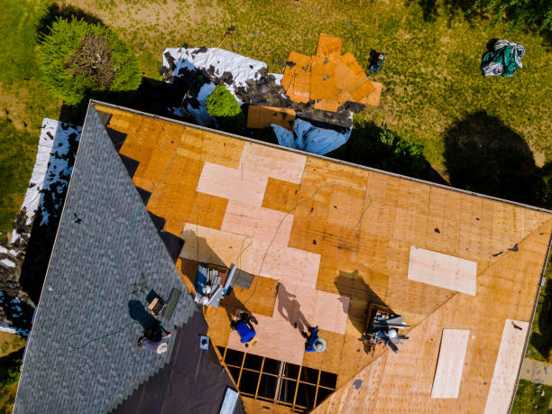 Best Metal Roofing Contractor  in Wolcottville, IN